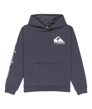 Quiksilver Omni Logo Hoodie Junior