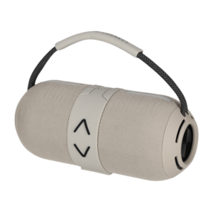 Brainz Speaker Rox