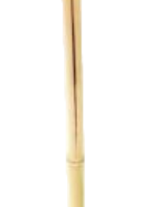 Pro Garden Citronella Tuinfakkel