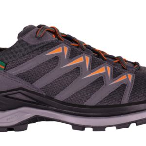 Lowa Lowa Innox Pro 4Daagse GTX Wandelschoen Heren