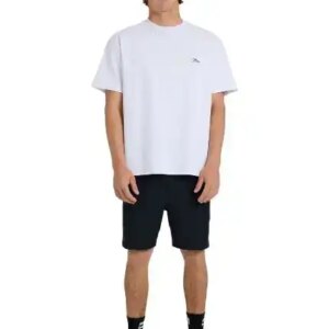 Quiksilver Taxer Amph 18" short