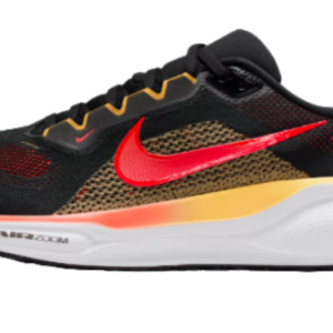 Nike Pegasus 41 Hardloopschoen Heren